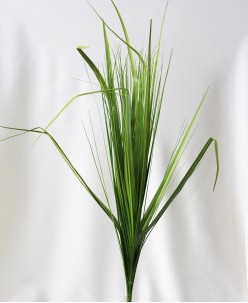 Saleks Modelleri (5)